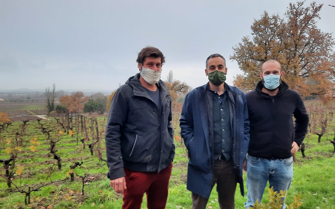 Quelles solutions pour lutter contre le réchauffement climatique dans les vignes ?